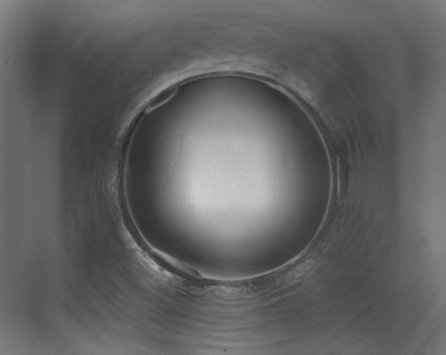 X0000073451500200607281207