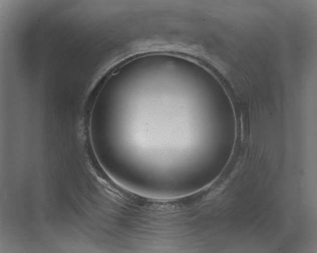 X0000073451501200607281207