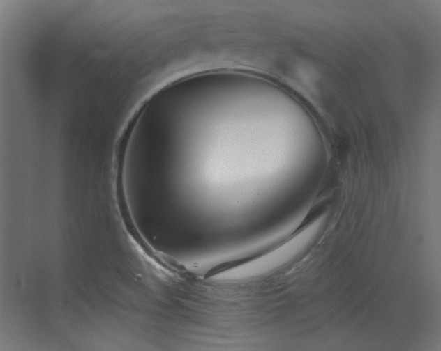 X0000073451508200607281207