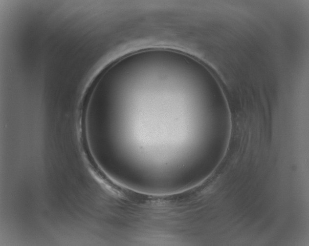X0000073451511200607281207