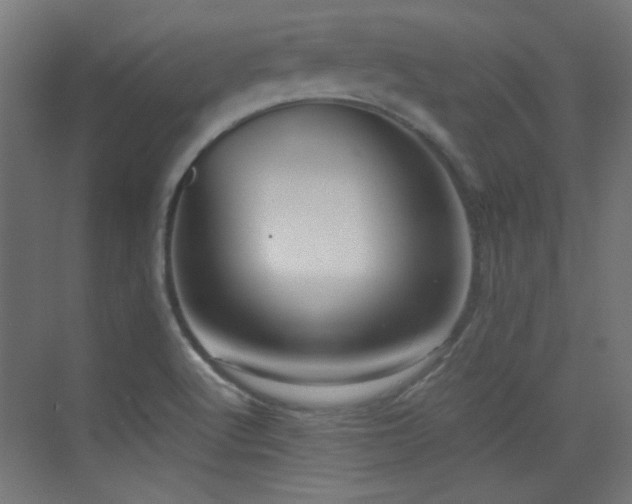 X0000073451512200607281207