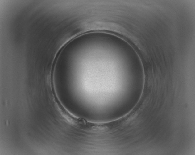 X0000073451513200607281207