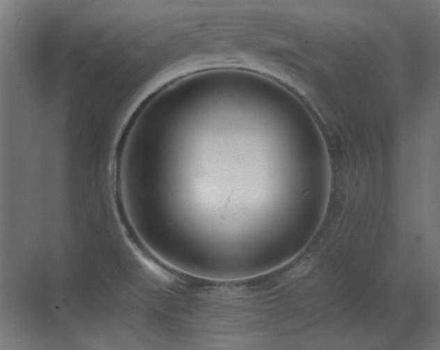 X0000073451519200607281207