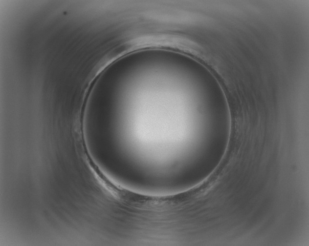 X0000073451521200607281207