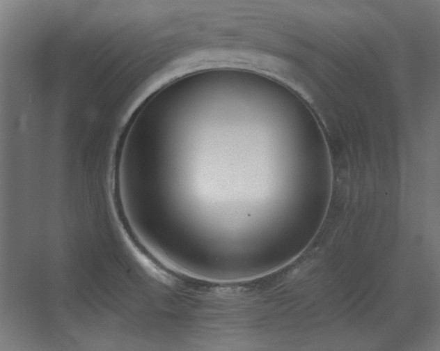 X0000073451523200607281207