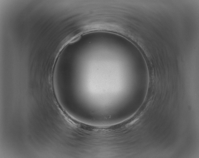 X0000073451529200607281208