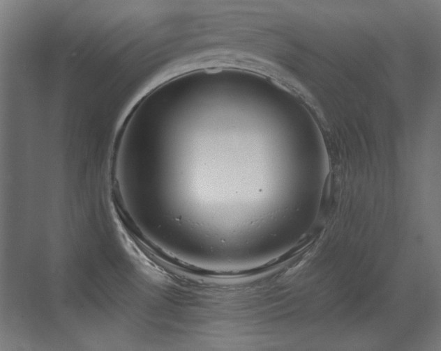 X0000073451530200607281208