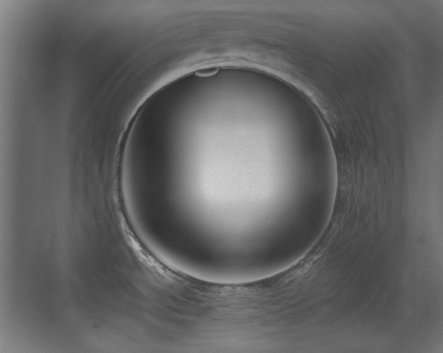 X0000073451534200607281208