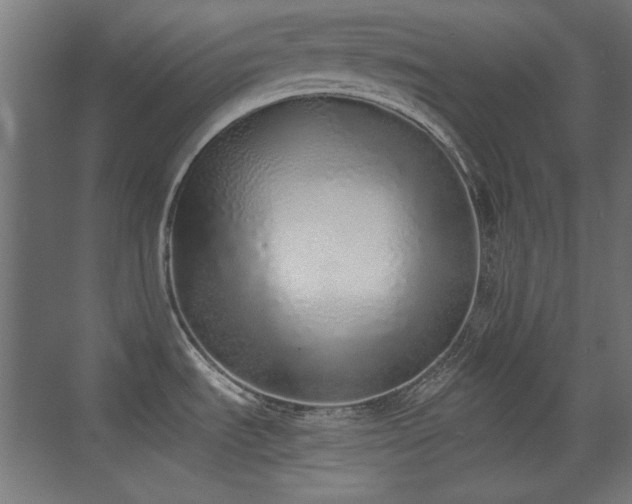 X0000073451535200607281208