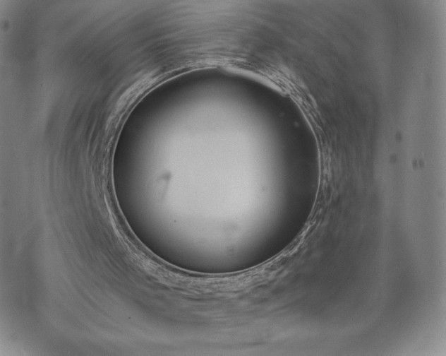 X0000073450001200608041039