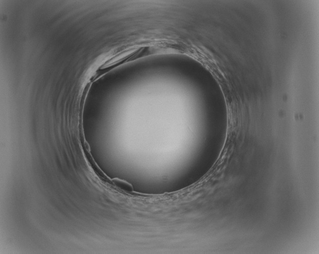 X0000073450003200608041039