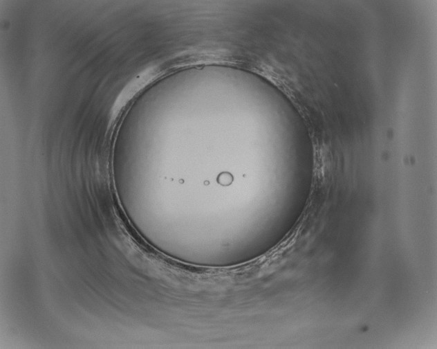 X0000073450004200608041039