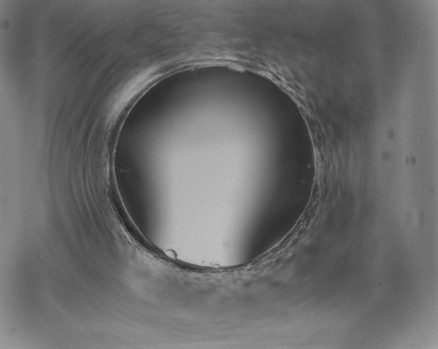 X0000073450005200608041039