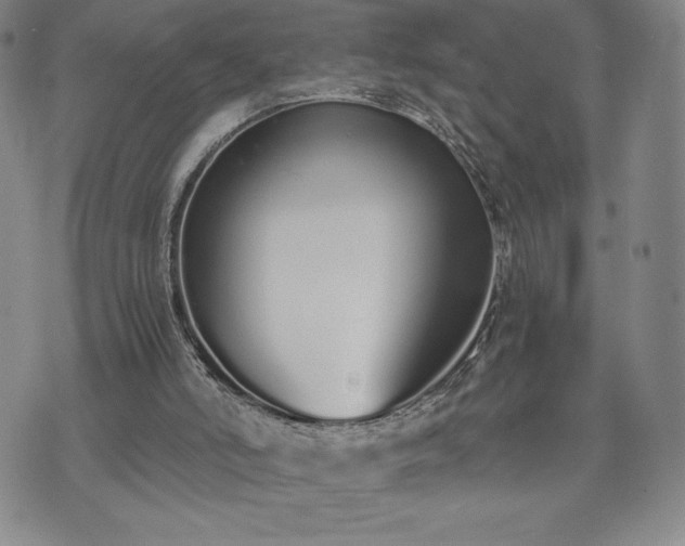 X0000073450006200608041039