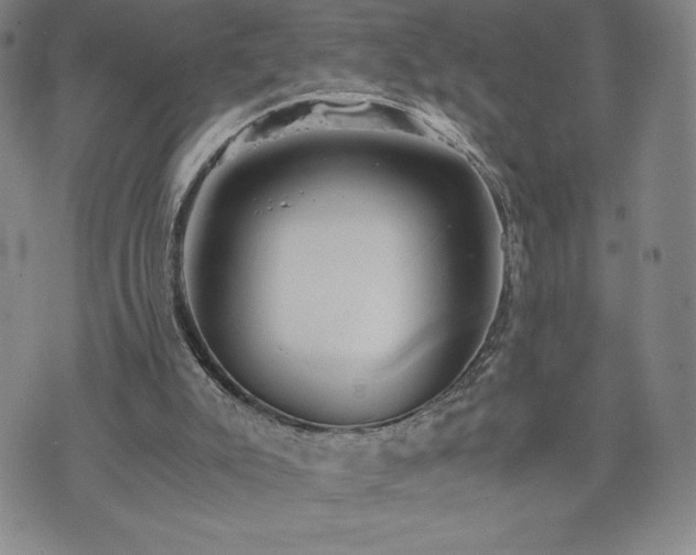 X0000073450007200608041039