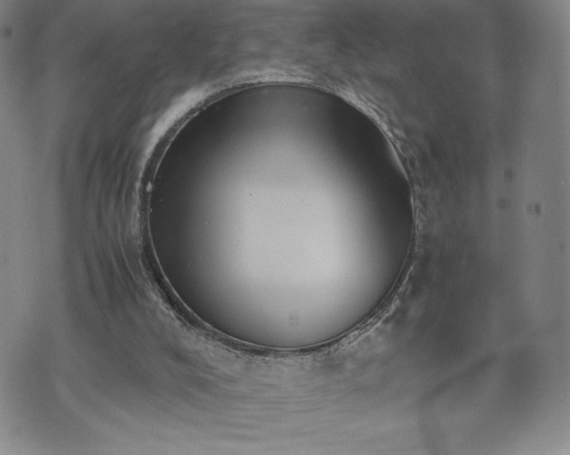 X0000073450008200608041039