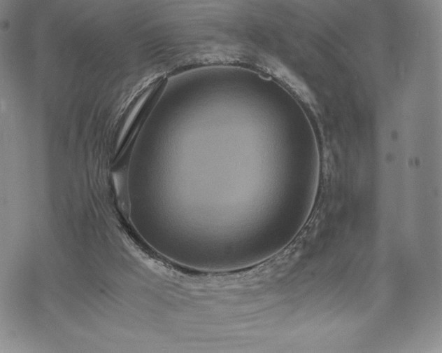 X0000073450009200608041039