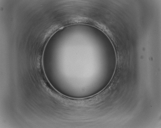 X0000073450010200608041039