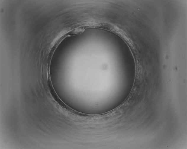 X0000073450011200608041039