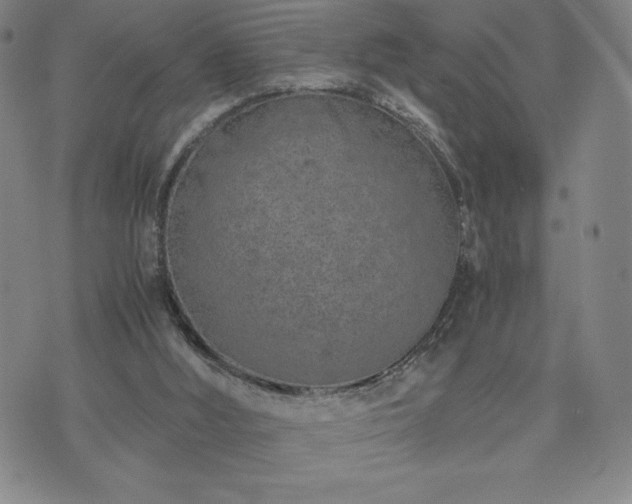 X0000073450012200608041039