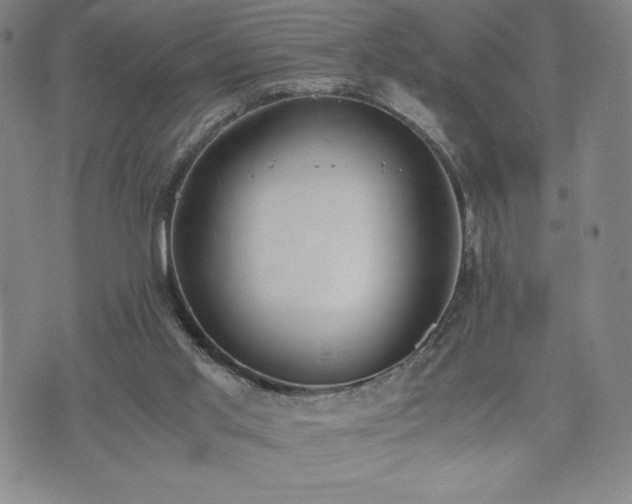 X0000073450013200608041039