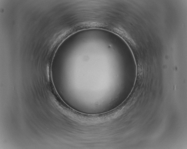 X0000073450014200608041039