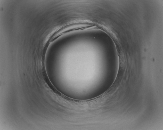 X0000073450015200608041039