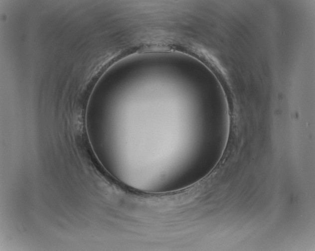 X0000073450017200608041039