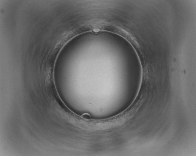 X0000073450018200608041039