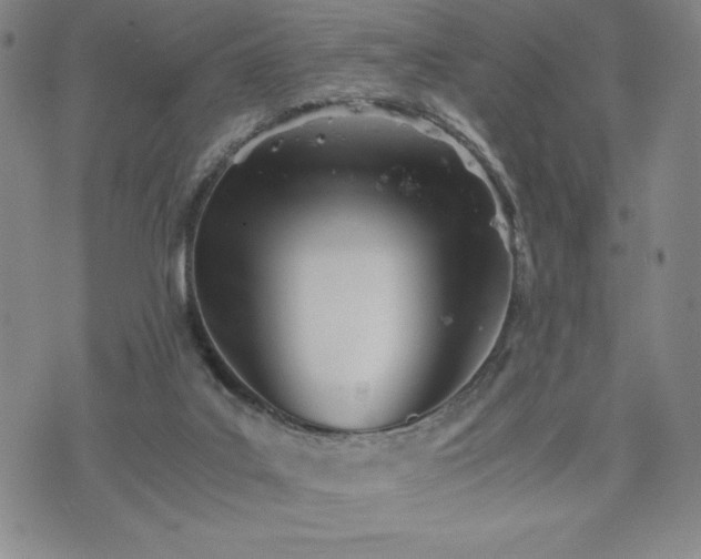 X0000073450019200608041039