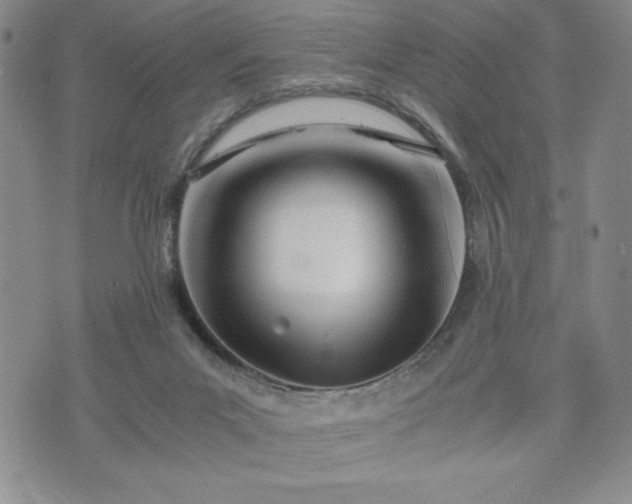 X0000073450023200608041039