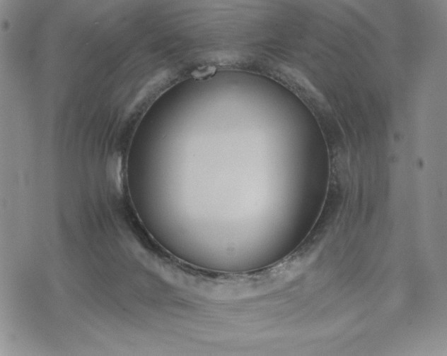 X0000073450024200608041039