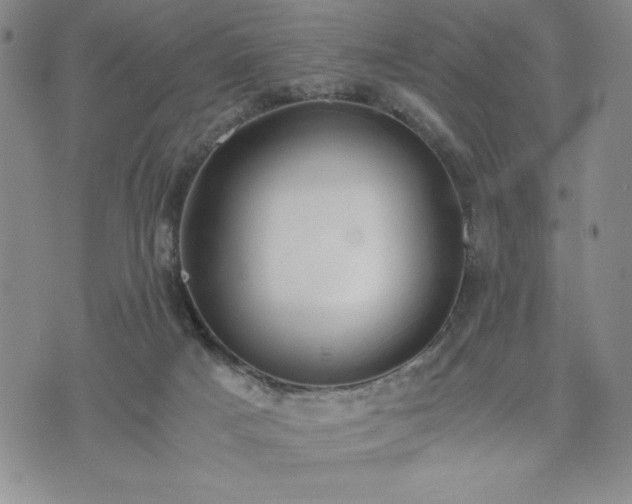 X0000073450025200608041039