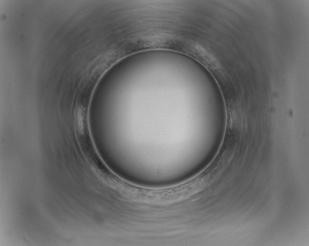 X0000073450026200608041039