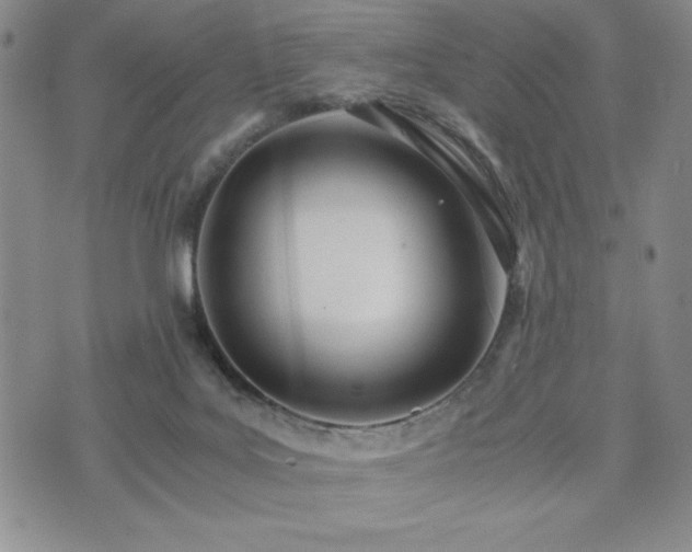 X0000073450027200608041039