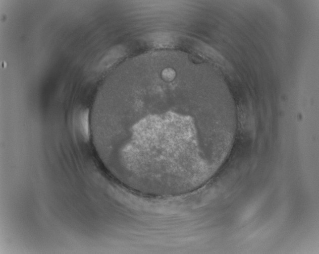 X0000073450028200608041039