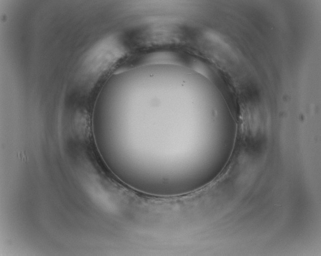 X0000073450029200608041039