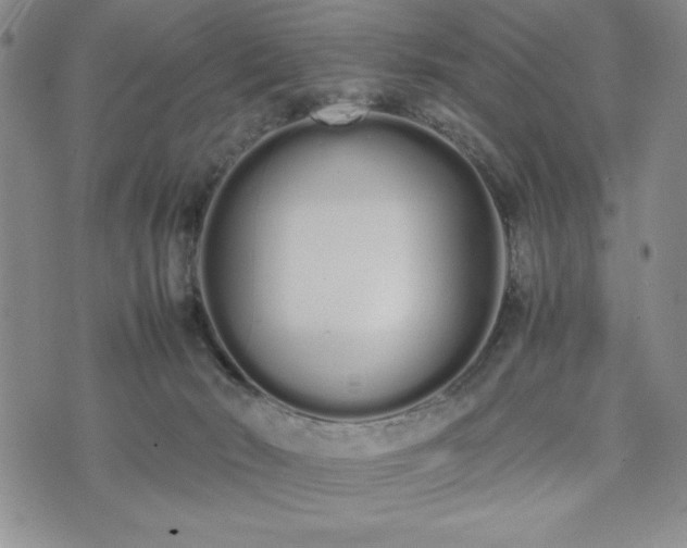 X0000073450030200608041039