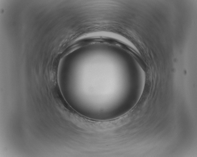 X0000073450031200608041039