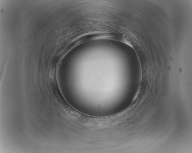 X0000073450033200608041039