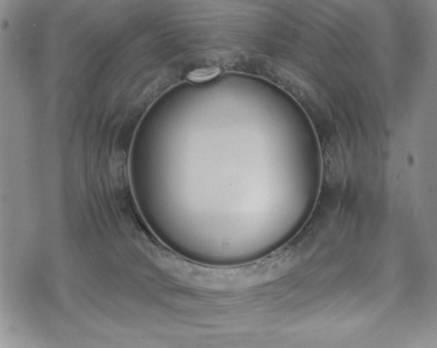 X0000073450034200608041039