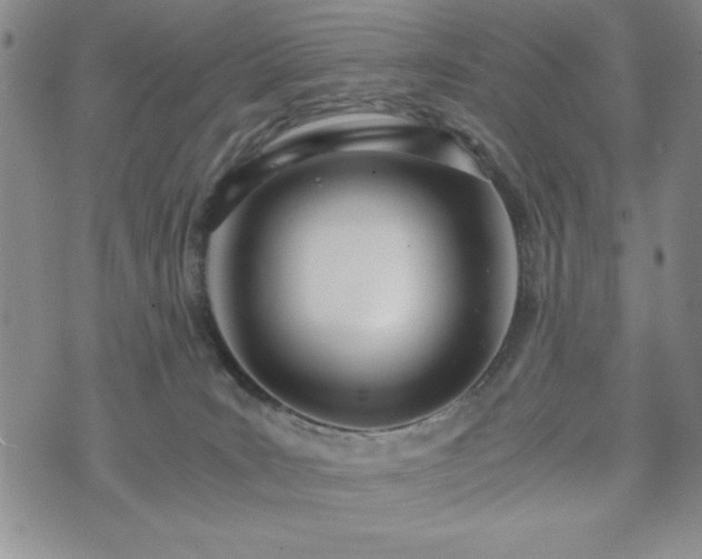 X0000073450035200608041039