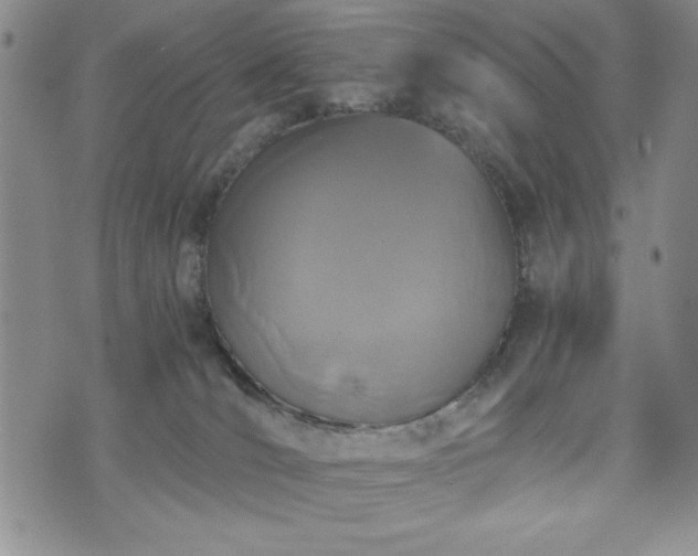 X0000073450036200608041039