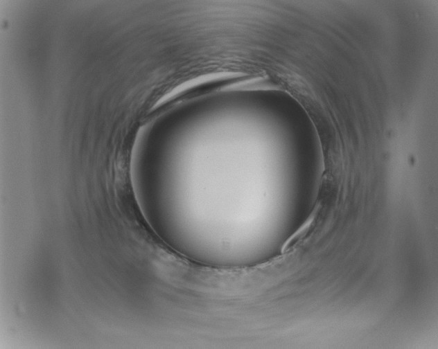 X0000073450037200608041039