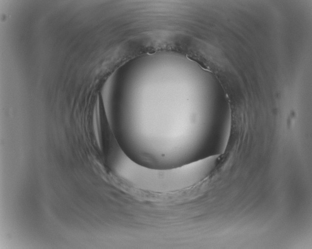 X0000073450039200608041039