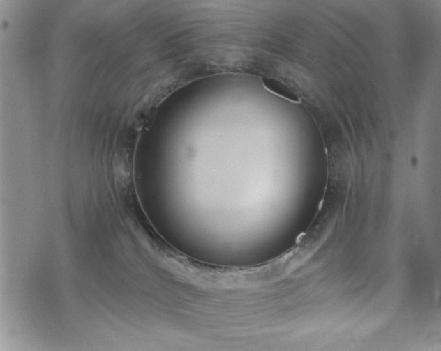 X0000073450040200608041039