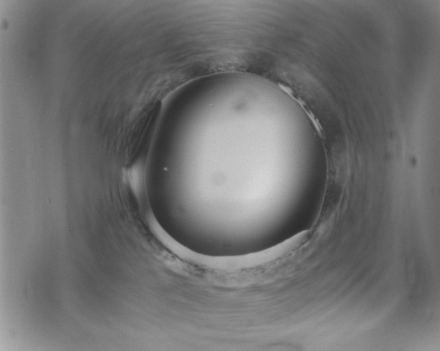 X0000073450041200608041039