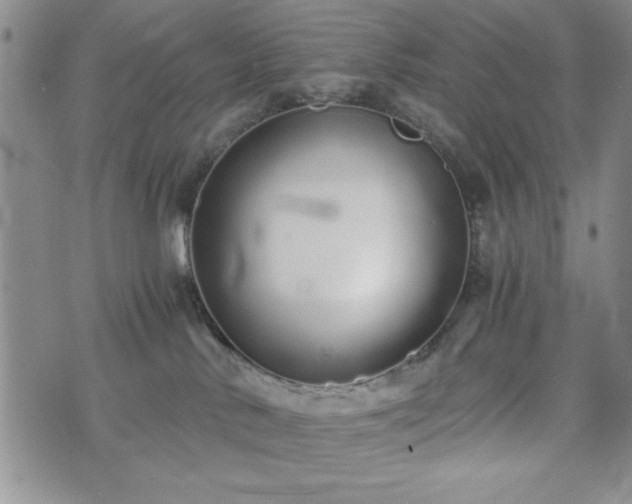 X0000073450042200608041038