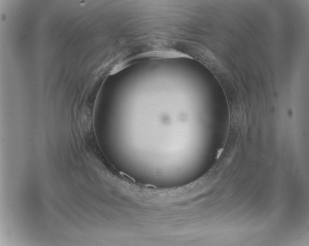 X0000073450043200608041038