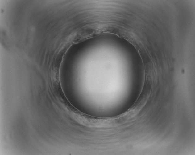 X0000073450044200608041038